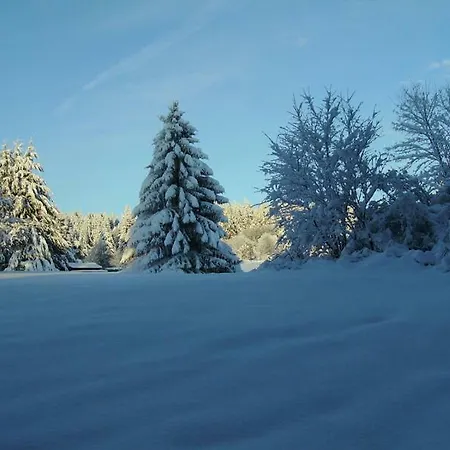 Chalet Chalet Des Jonquilles Sapois (Vosges)